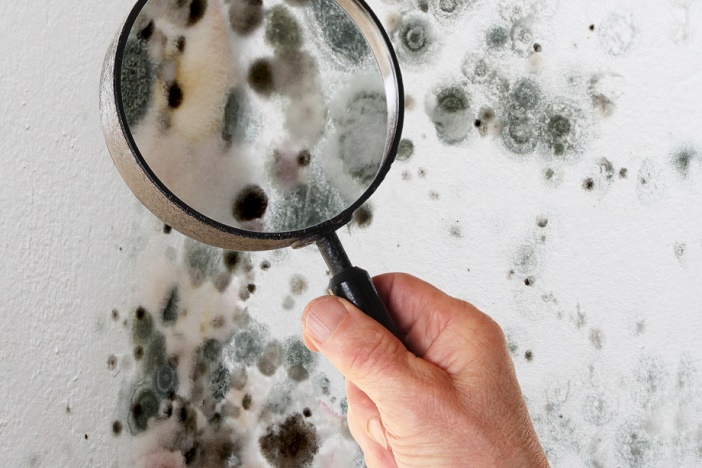 Zoom sur l-humidité dans la maison