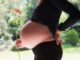 Quels sont les aliments à privilégier pendant la grossesse